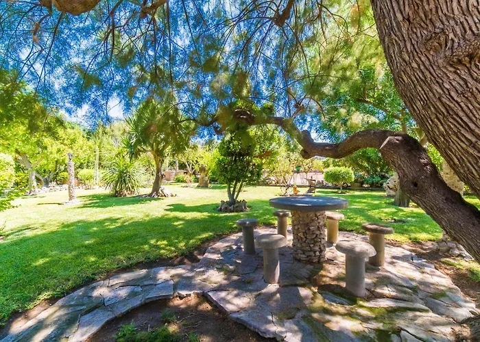 Ideal Mallorca - Sort Llarga *