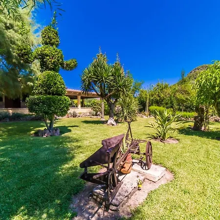 Ideal Mallorca - Sort Llarga * ポレンサ