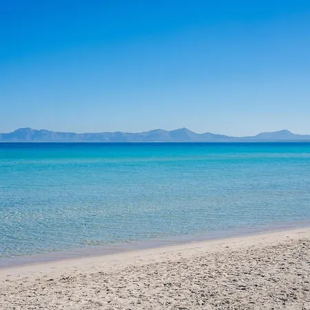 Gospodarstwo wiejskie Ideal Mallorca - Sort Llarga Pollensa